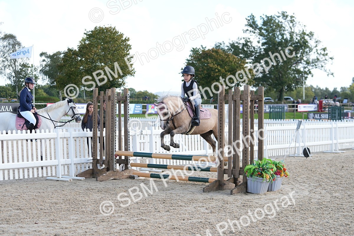 SBM_48380 - J7 - Junior Pony 60cm Championship