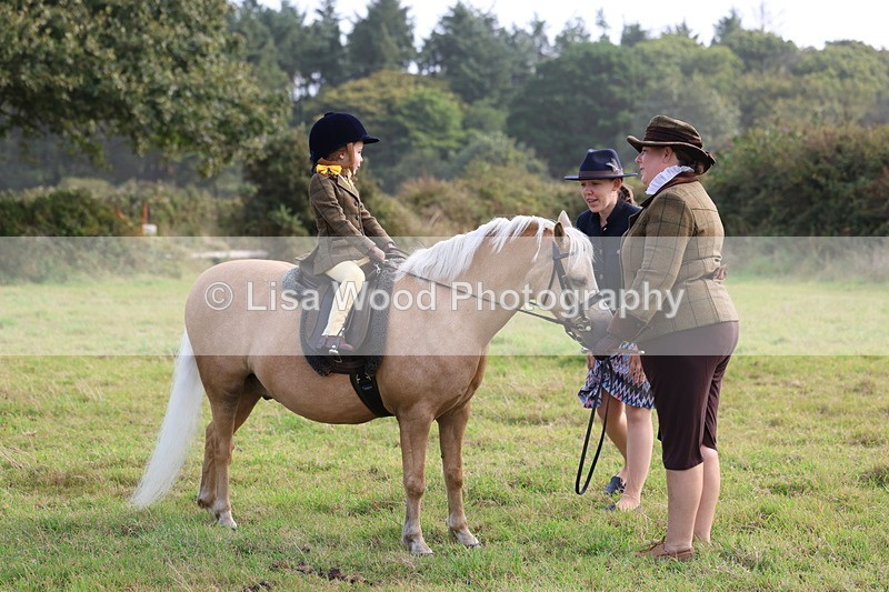 3E7A3571 - Class 2: Lead rein