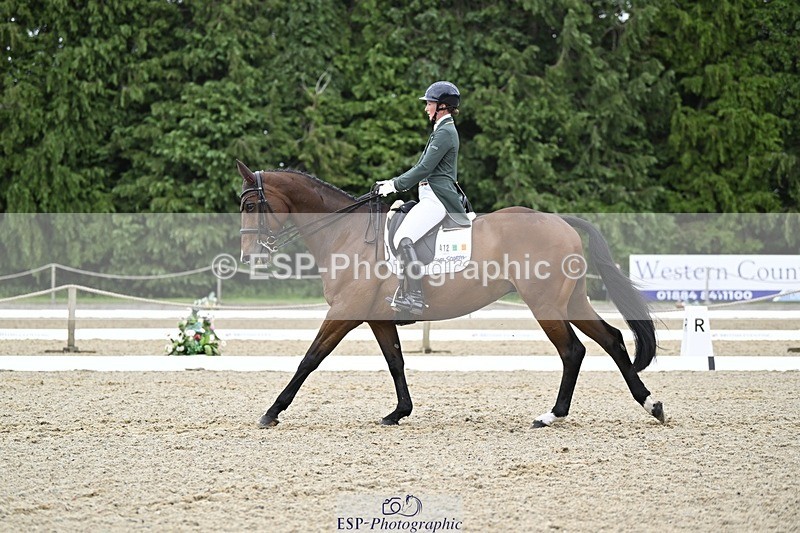 000101-212419-04296 - 412-WELLFIELDS_LINCOLN-Susie_Berry