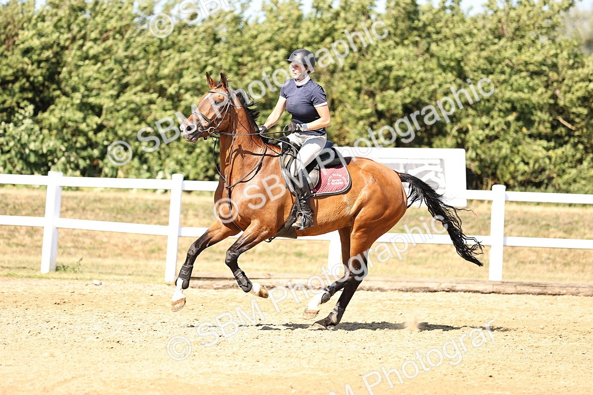 SBM_015611 - Class 16 - Senior foxhunter - 1.20m Open