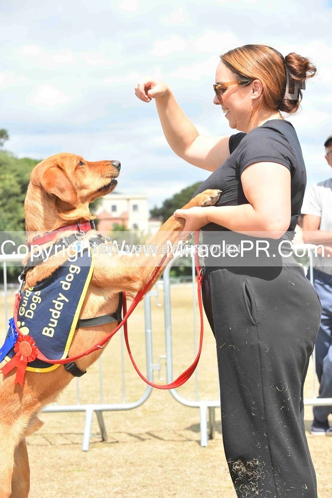 SH4_0272 - Dog show.