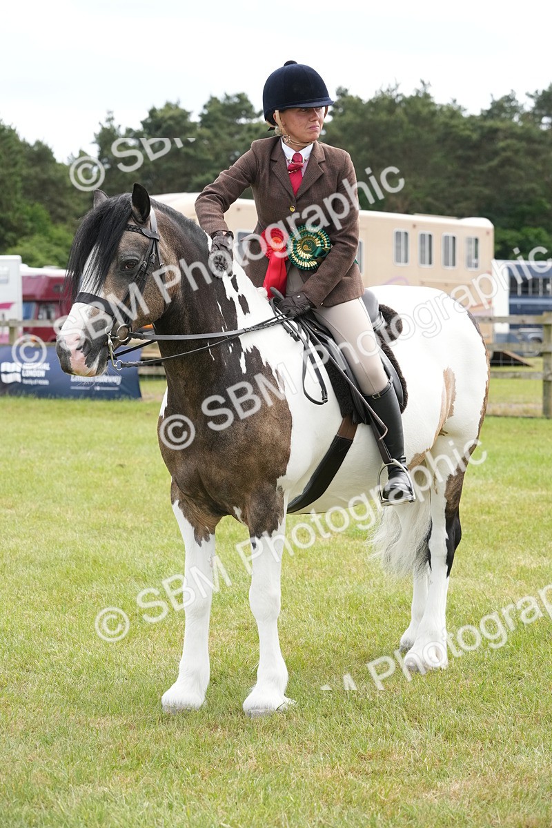 SBM_17340 - Class 107-108 - LIHS BSPS Performance Coloured Horse Pony