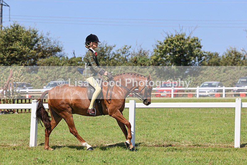 IMG_2132 - Plaited Ridden Championship