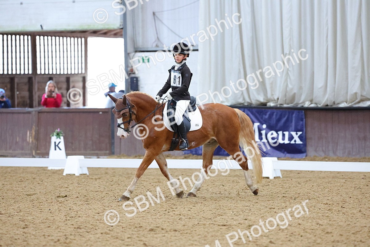 SBM_004195 - Intermediate
