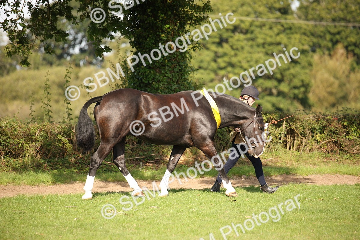 SBM_61217 - S54 - Show Cob In Hand