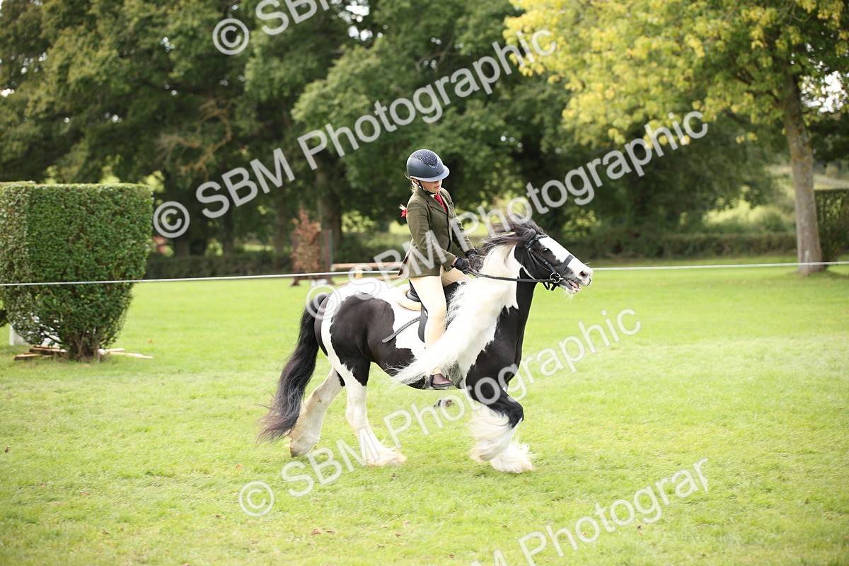 SBM_42365 - S13 - Pony Club Pony