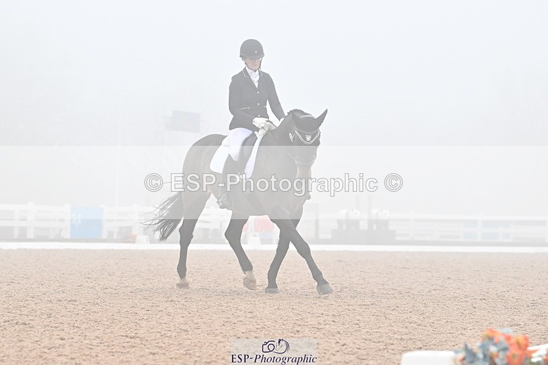 240217A-135320-03304 - 240-Moira.Bonner-Green.lanes.Elidor