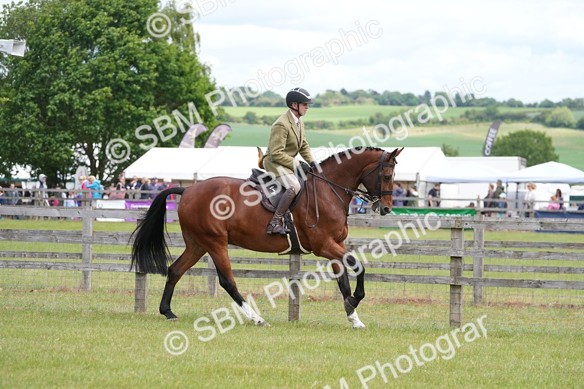 SBM_15005 - Class 100-102 - RIHS Working Hunter