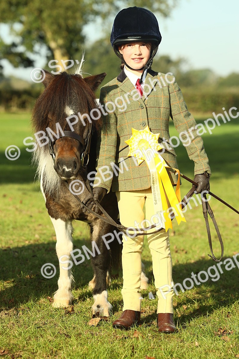 SBM_58511 - S37 - Starters In Hand Showing