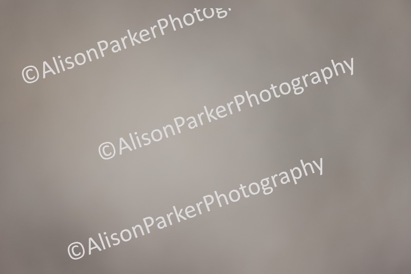 20251207-0159 - Class 1 - Prelim 5