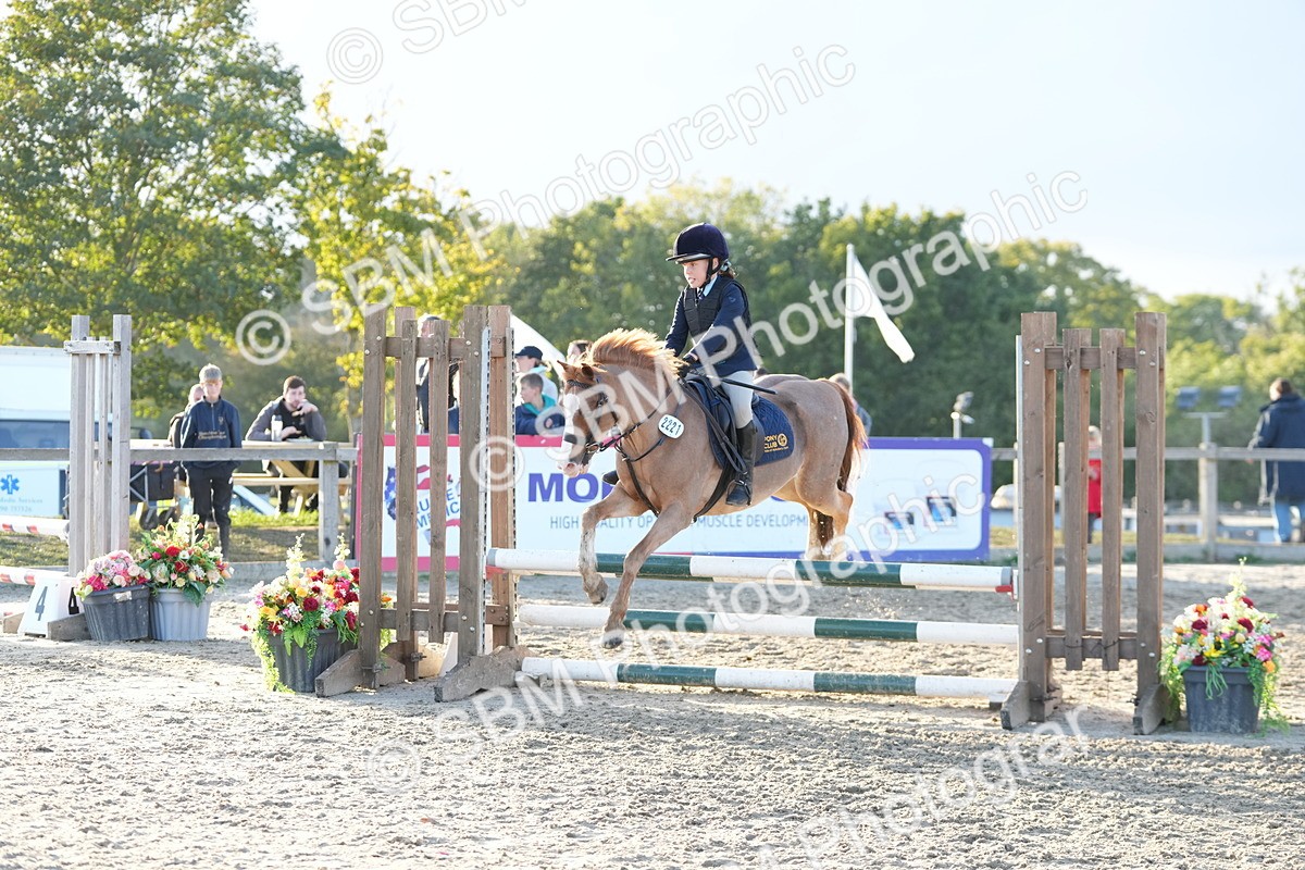 SBM_54090 - Supreme Championship 60cm 65cm