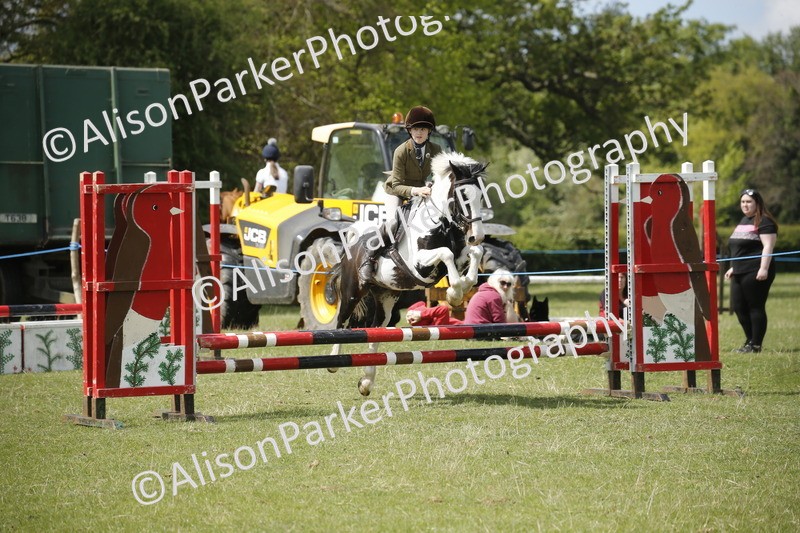 20250427-3750 - Class 14 - Absolute Novice 70cm