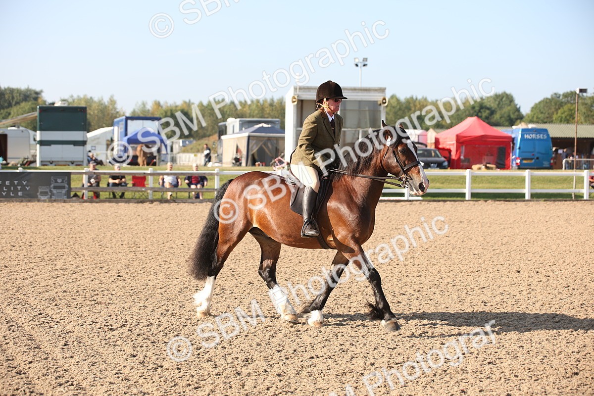 SBM_00651 - Class 14 Ridden M&M Wildcard