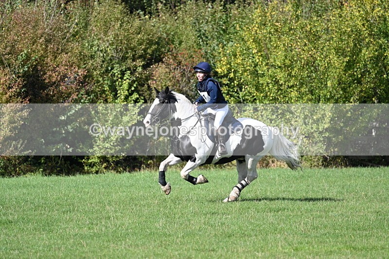 WJ7_1528 - Time 13:56 to 14:24