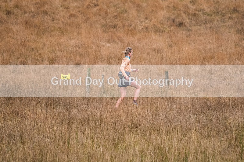 Kong MMM-167 - Kong Mini Mountain Marathon Round 3 North Wales Blaenau Ffestiniog  Sunday 27th November 2022