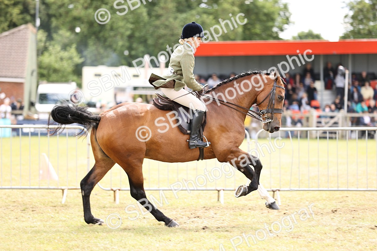 SBM_14718 - Class 88-89 - LIHS BSHA Rising Star of Ridden Hunter Type