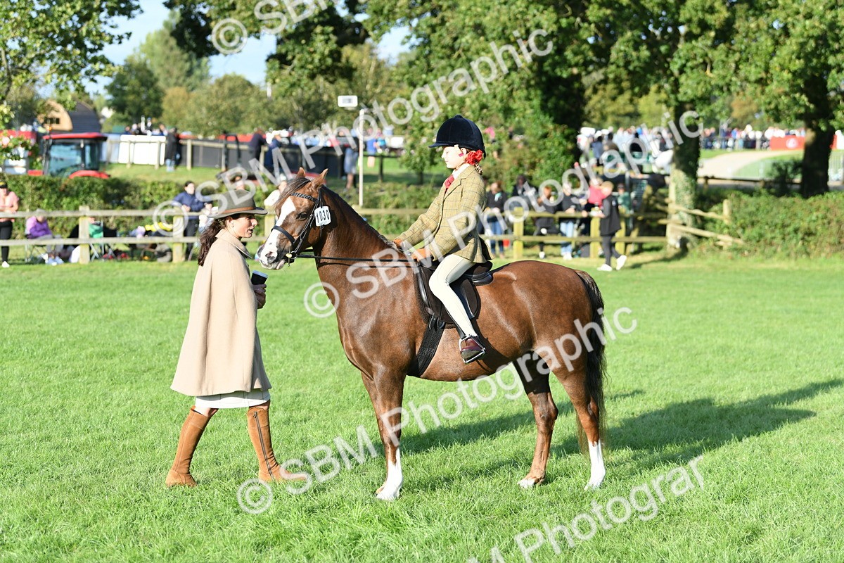 SBM_54040 - S23 - 1st Ridden Mountain & Moorland Pony