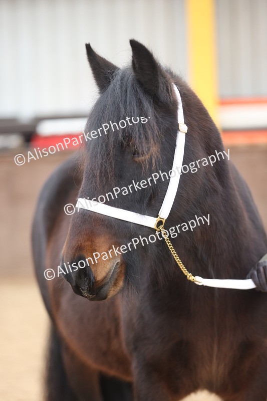 20251109-0946 - Class 26 - 2 and 4 Year Olds