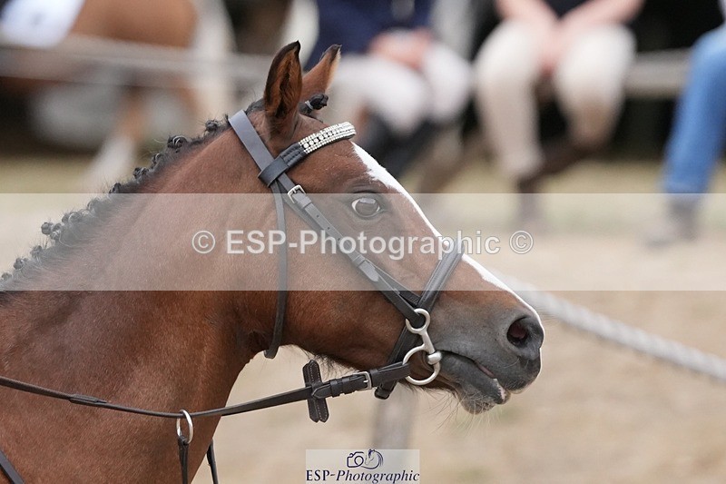 250820A-143601-08833 - Round 2, 13.45 to 14.45 Break