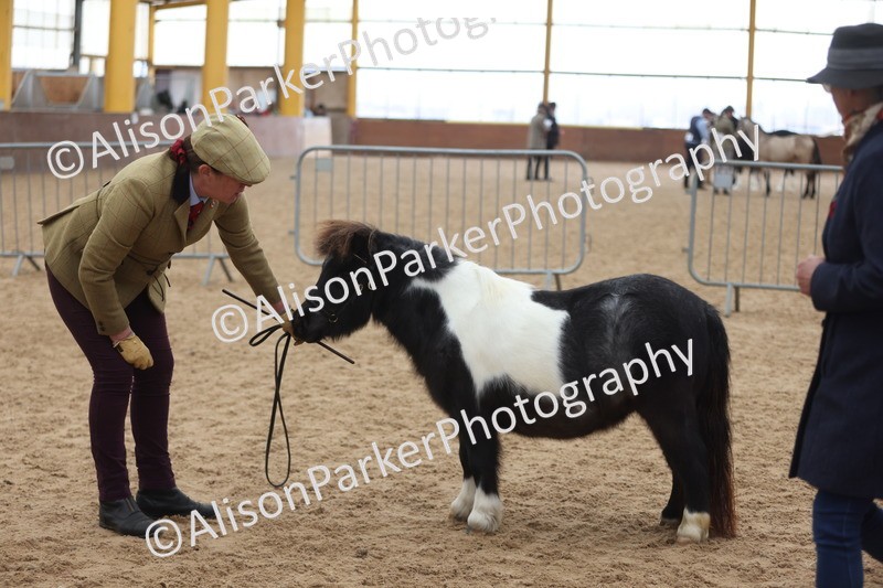 20251109-0239 - Class 11 - 2 and 3 Year Old