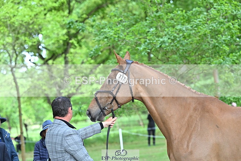 250521A-165607-01415 - C-273-Tim.Cheffings-HEARSAY.LARK.RISING