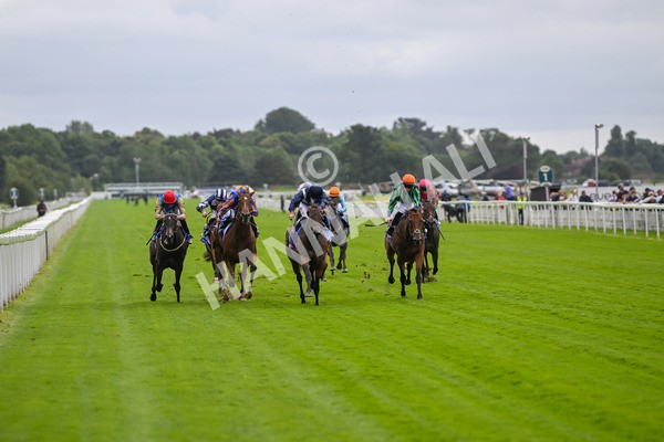 220824-Race 1-Celandine-6544 - Race 1 1.50pm Sky Bet Lowther Stakes