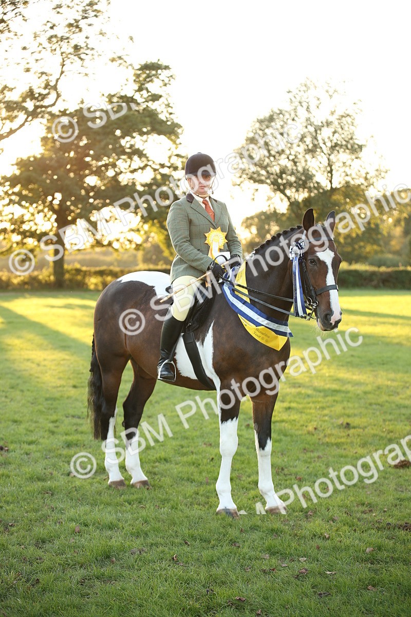 SBM_57075 - Veteran Supreme Championship