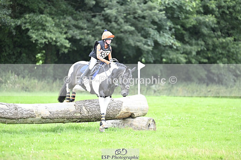 240804-144426-15438 - 555-Jack_Wish-WESTERLAKE_BUTTONWEED