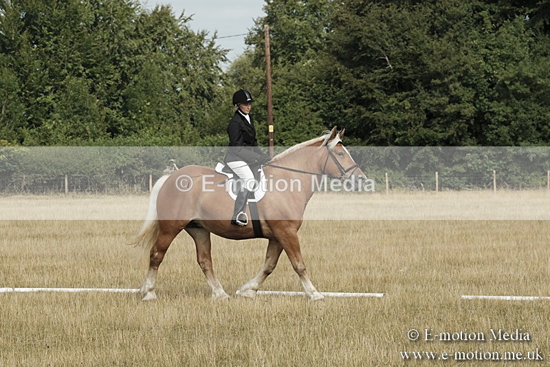 _PJP5597 - Dressage Classes BVRC Show 2018
