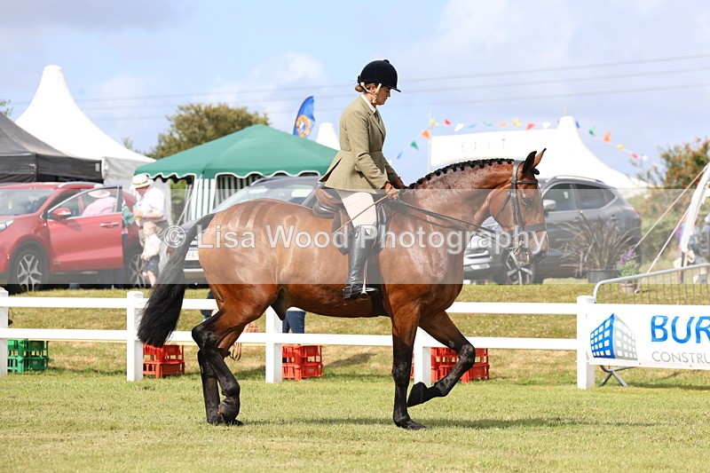 3E7A9269 - Class 4: Rising Star M/H Hunter