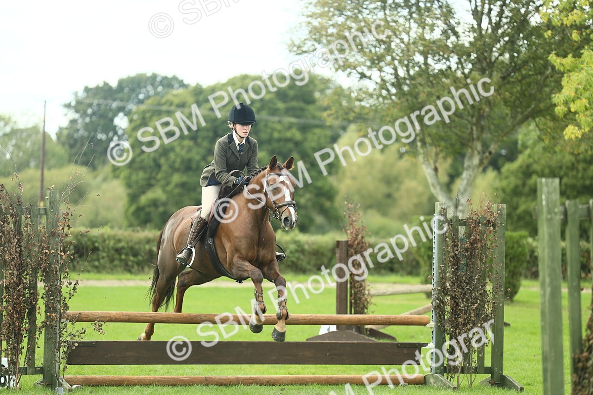 SBM_47966 - S32 - Novice & Newcomers Working Hunter