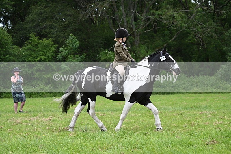WJ7_2087 - Class 12A Coloured Class