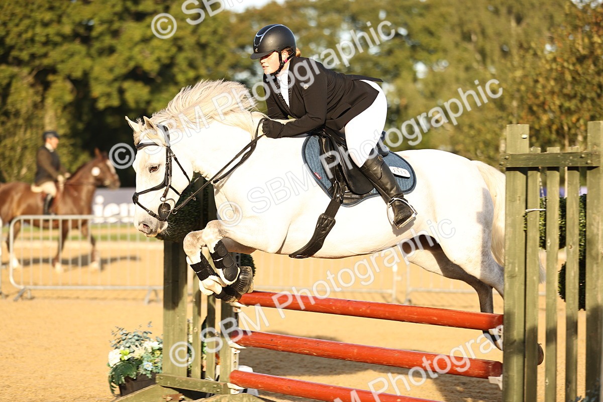 SBM_33003 - J38 - Senior 80cm Championship