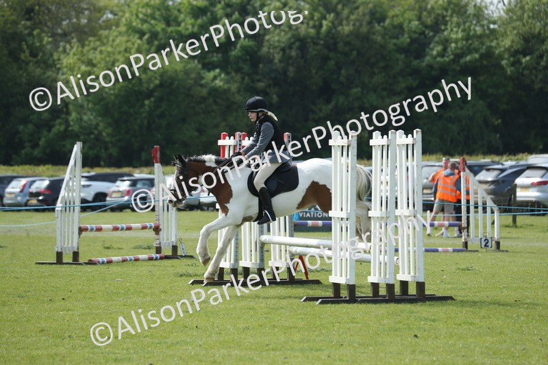 20260426-1565 - Class 14 - Novice 60cm