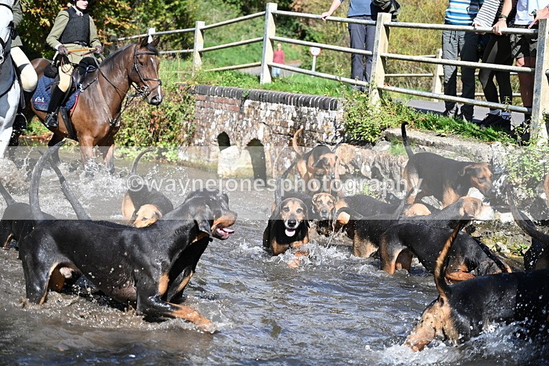 WJ7_5988 - Hounds Water Crossing