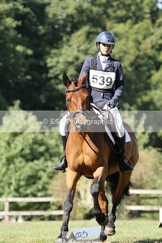 250823A-105248-27834 - Arena D