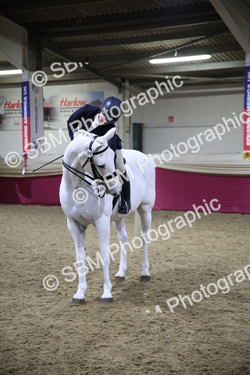 5K7A1556 - Class O Ridden Show Horse Champ
