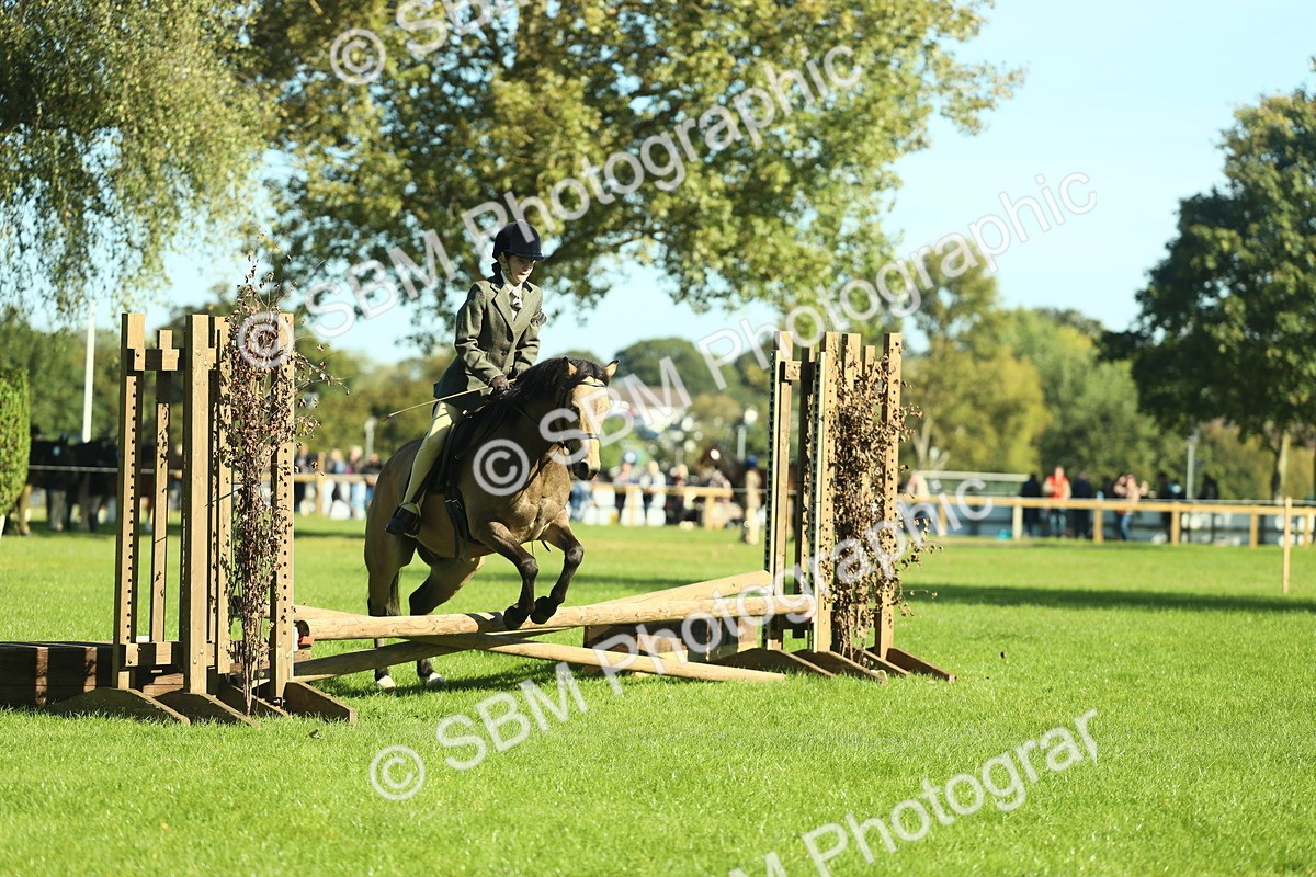 SBM_36493 - S29 - Novice & Newcomers Working Hunter Pony