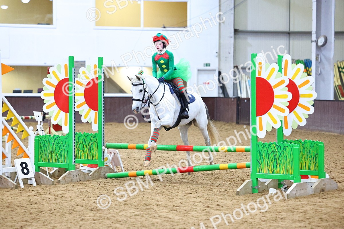 SBM_001375 - Class 3 - Christmas Tree Stakes - 60cm