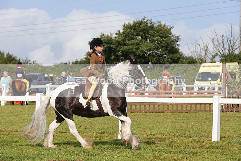 1X9A3221 - Class 28: Ridden Native/Trad Coloured Pony