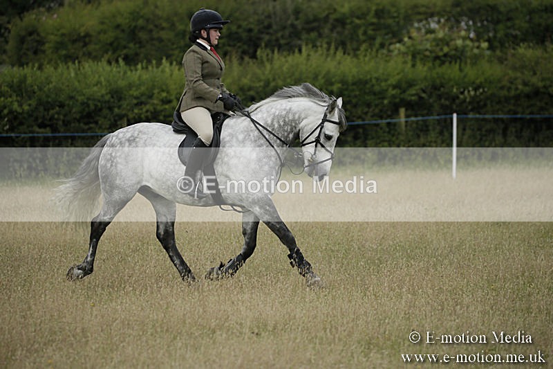 B230619-0133 - Bourne Valley Riding Club Summer Show 23/06/19