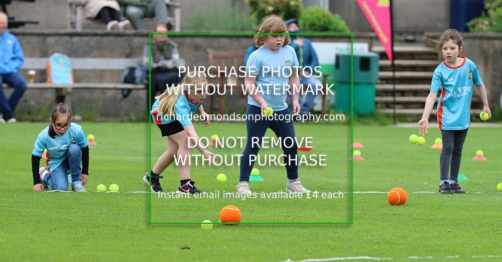 IMG_1189 - All Stars Cricket-Netherfield