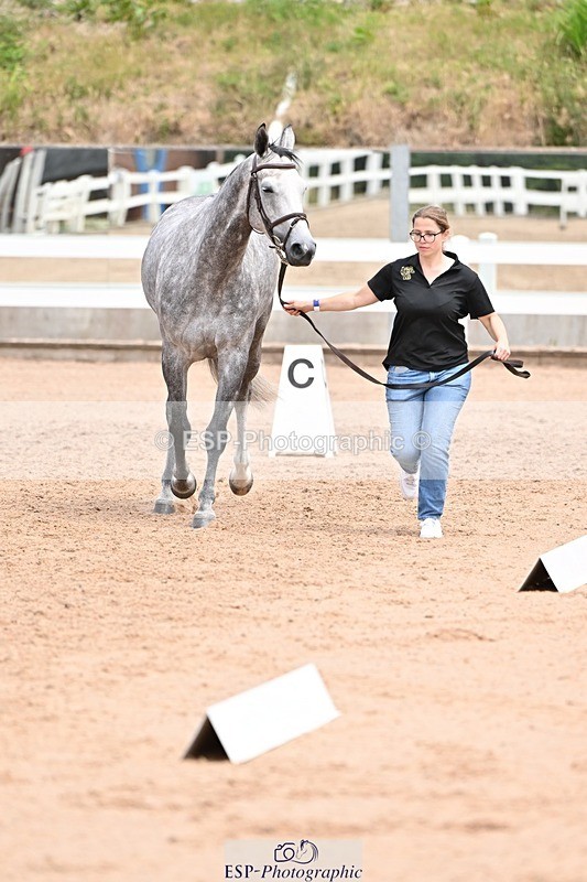 250716-142158-01038 - Trot Up 1.30 to 2.30