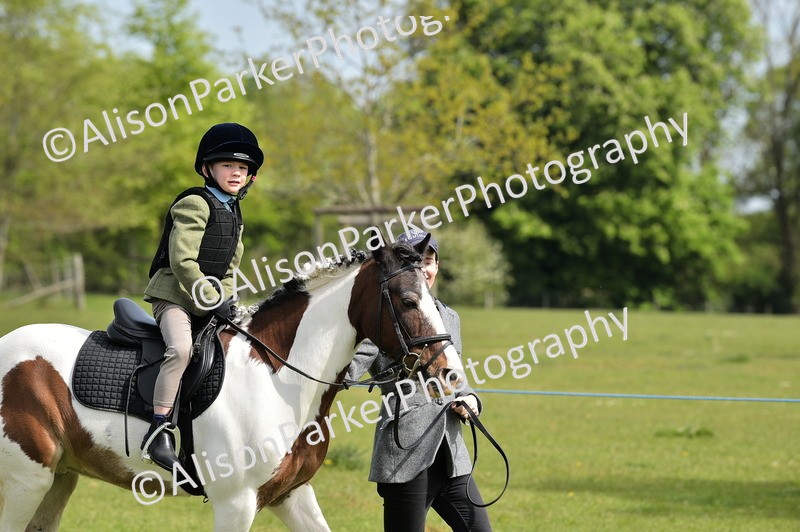 20260426-2317 - Class 20 - Beginner Working Hunter