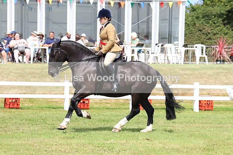 3E7A0561 - Rising Star Ridden Championship