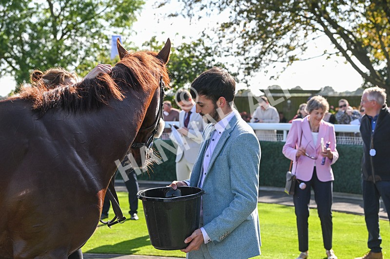 180924-Race 2-American Style-4084 - Race 2