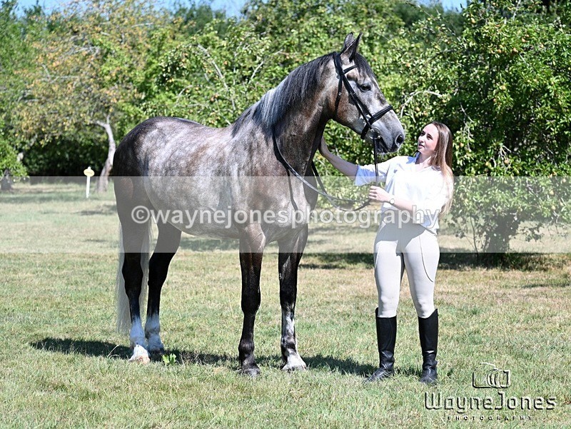 WJ7_2928 - Annable & Atlas 13-07-25