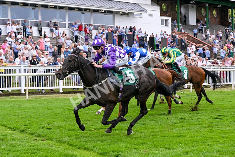 010726-Race 7-Indian Run-8897 - Race 7 16.10pm Weatherbys Global Stallions App Handicap