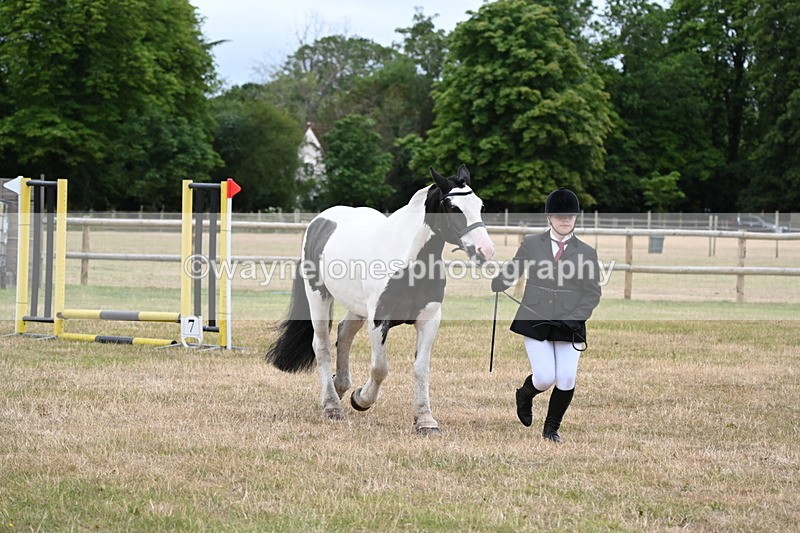 WJ6_4358 - Class 10 Coloured In-hand
