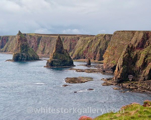 Sea Stacks at John O Groats - Scottish Highlands